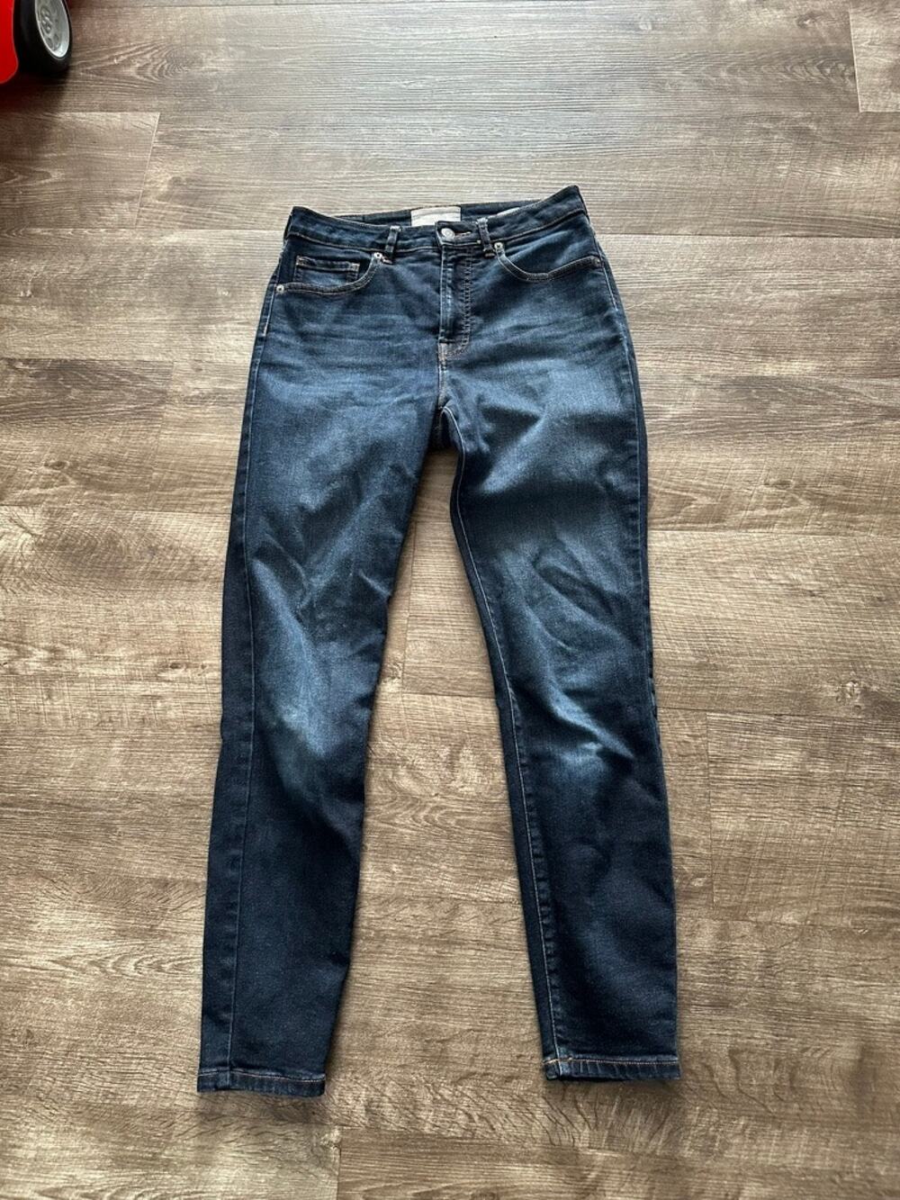Everlane The Curvy High-Rise Skinny Jean size 28 Regular